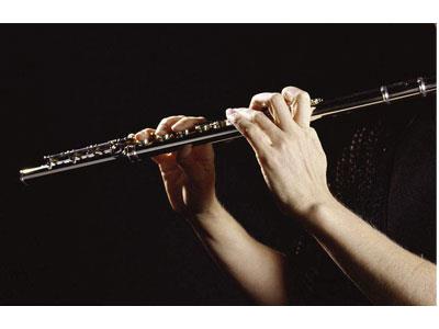 招聘咸宁长笛家教老师