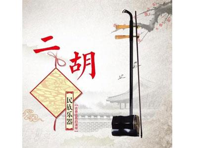 招聘咸宁二胡家教老师